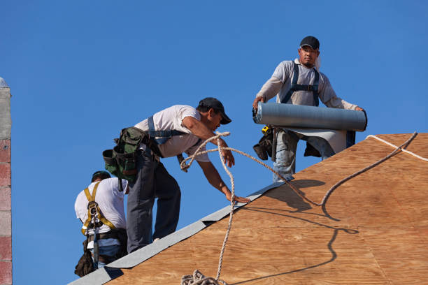 Best Roof Gutter Cleaning  in Harleigh, PA