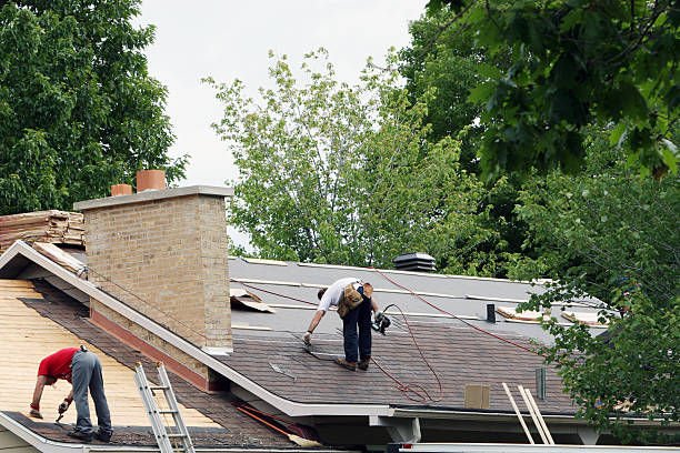 Professional Roofing Contractor in Harleigh, PA